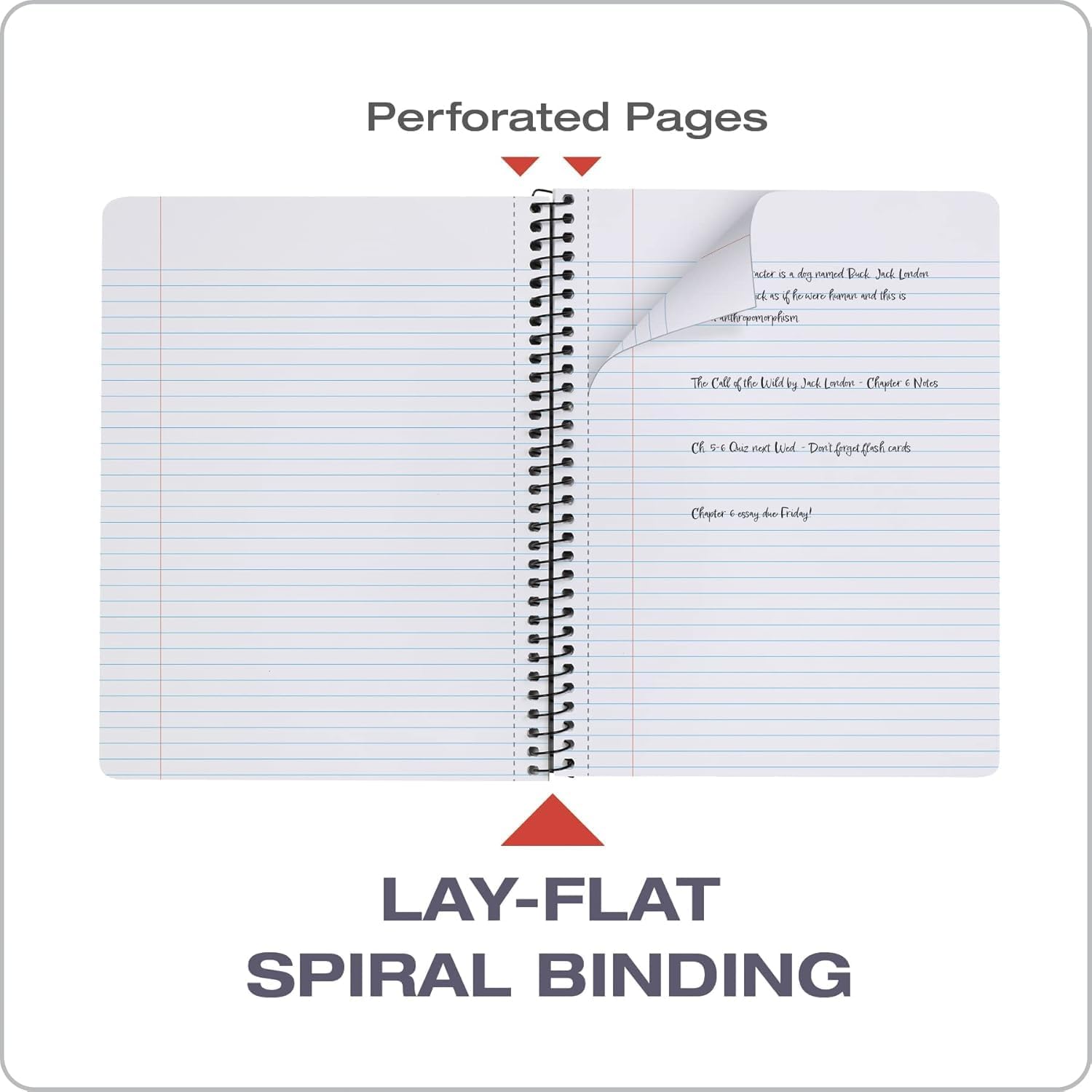Oxford Composition Notebooks, School Supplies, Notebooks for School, College Ruled Paper, 9-3/4 x 7-1/2 Inches, School Comp Book (12 per Pack, Spiral Bound)