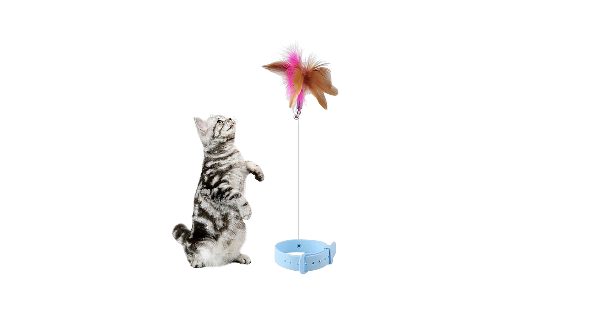 61p8e143ceL.jpg_BO30,255,255,