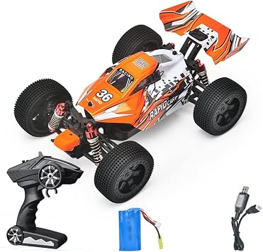 Remote Control Car, Brushless Racing RC Cars, 116 Scale Fast RC Cars High Speed 50 KM/H Rock Crawler RC Truck 4X4 Monster Vehicle Trucks, 4WD Off-Road Buggy