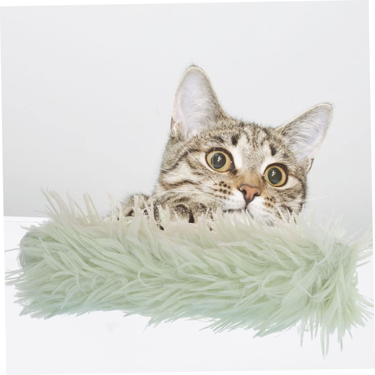 Happyyami 18pièces Jouets Interactifs Cataire pour Chats Coussin Doux avec Herbe à Chat Jouets à Mâcher Fournitures pour Animaux De Compagnie