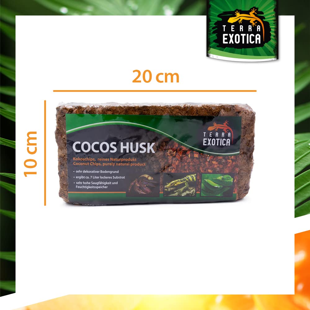 Terra Exotica Cocos Husk Brick ca. 500g - grob, gepresster Humusziegel als Terrarienboden für Reptilien und Amphibien, 1 Ziegel ergibt ca. 7 Liter lockeres Substrat (12 Stück - 84 Liter)