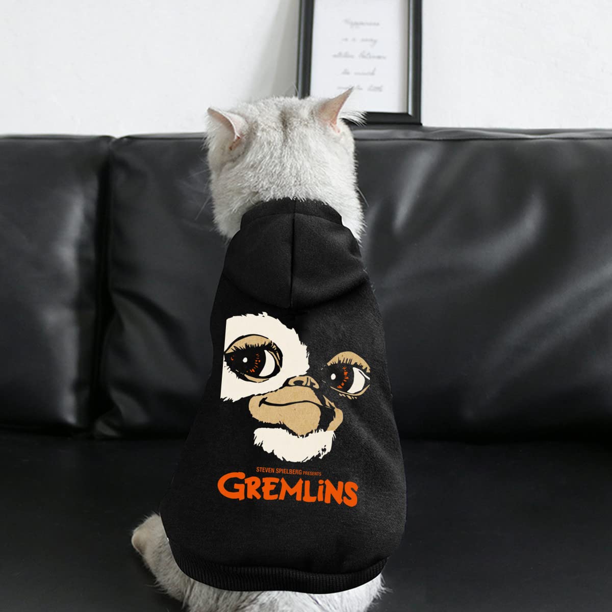 ギズモ グレムリン 犬服 中型 ハロウィン 仮装 Amazon.co.jp: Hzong