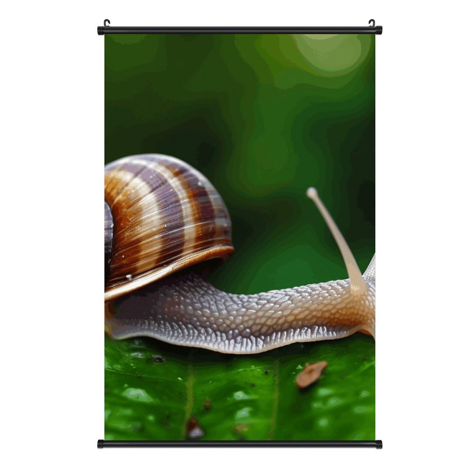 Tableau escargot sur toile deco interieure moderne - 8