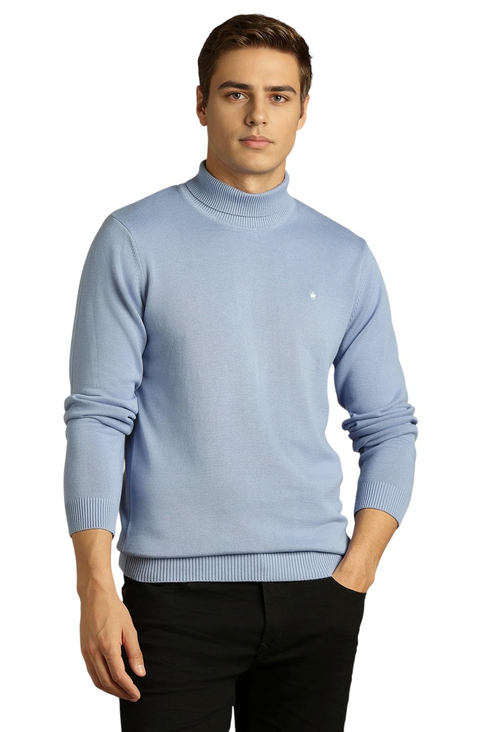 louis philippe Men Sweater-picture-51