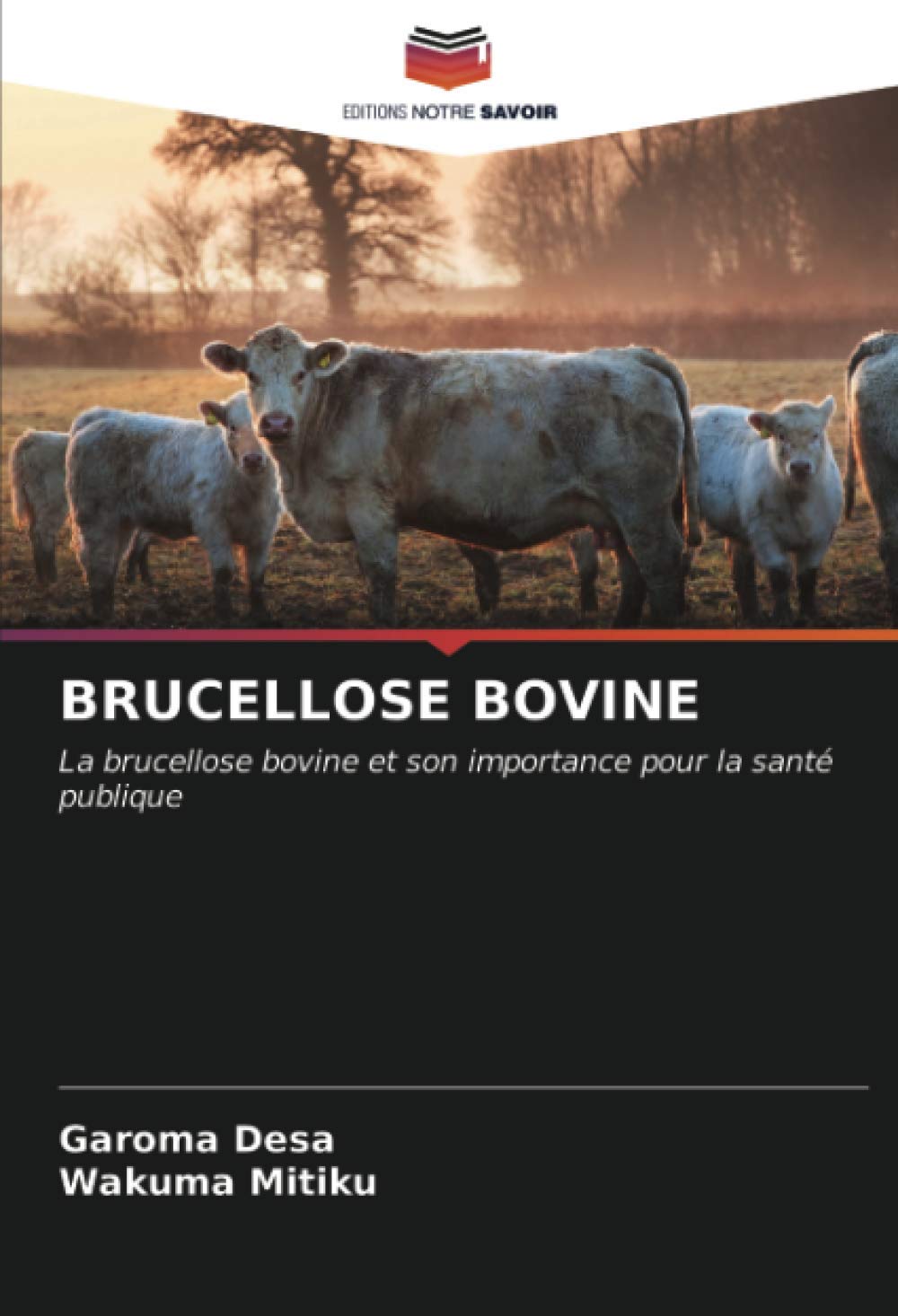 Brucellose Bovine