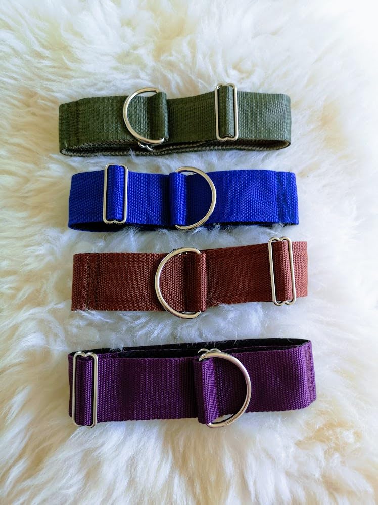 Bequemes Hundehalsband, weiche Polsterung breit 5cm, Zugstopp verstellbar, sicheres Martingale, Stoffhalsband sanft & leicht, braun (messing, bis 52cm Hals- 58cm Kopfumfang)