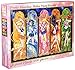 1000 piece jigsaw puzzle Sailor Moon Crystal Pretty Guardian (50x75cm)