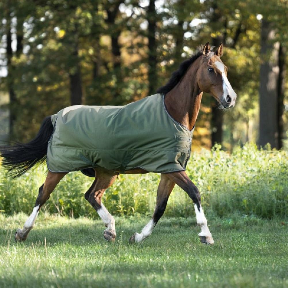 Kavalkade Manta de Exterior para Caballos Montreal 0g