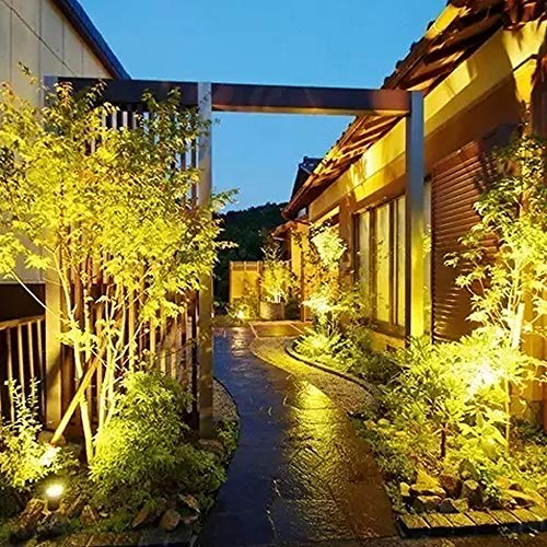Ampoule LED paysage PAR36 6W éclairage sécurisé tracteur et jardin 12V