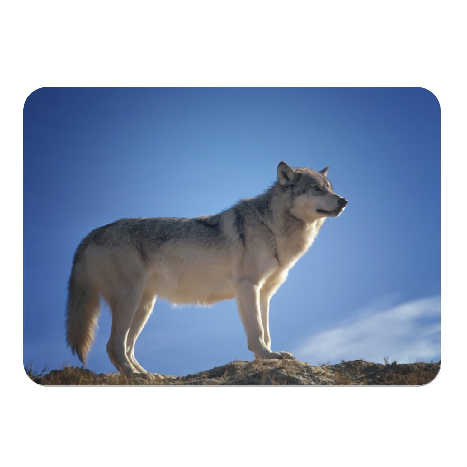Sets de table loup en liège grand format 39,5x28,5 cm x4