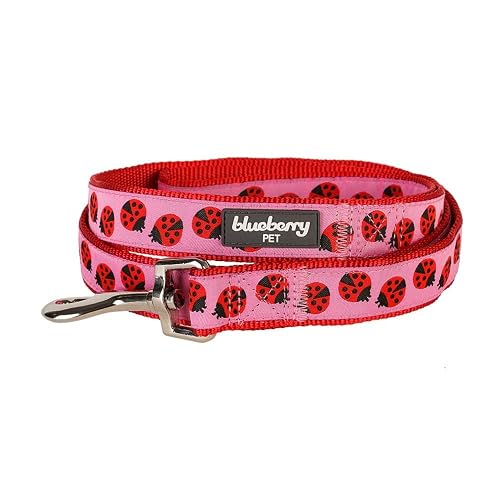 Blueberry Pet Essentials Pink Webbing Ladybug Designer Leash 4 ft x 1