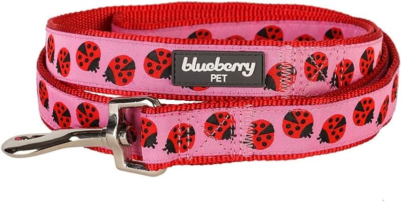 Blueberry Pet Essentials 2 patrones Correa rosa duradera Diseñador de mariquitas Correa para perro 4 pies x 1", grandes, correas básicas de nylon para perros