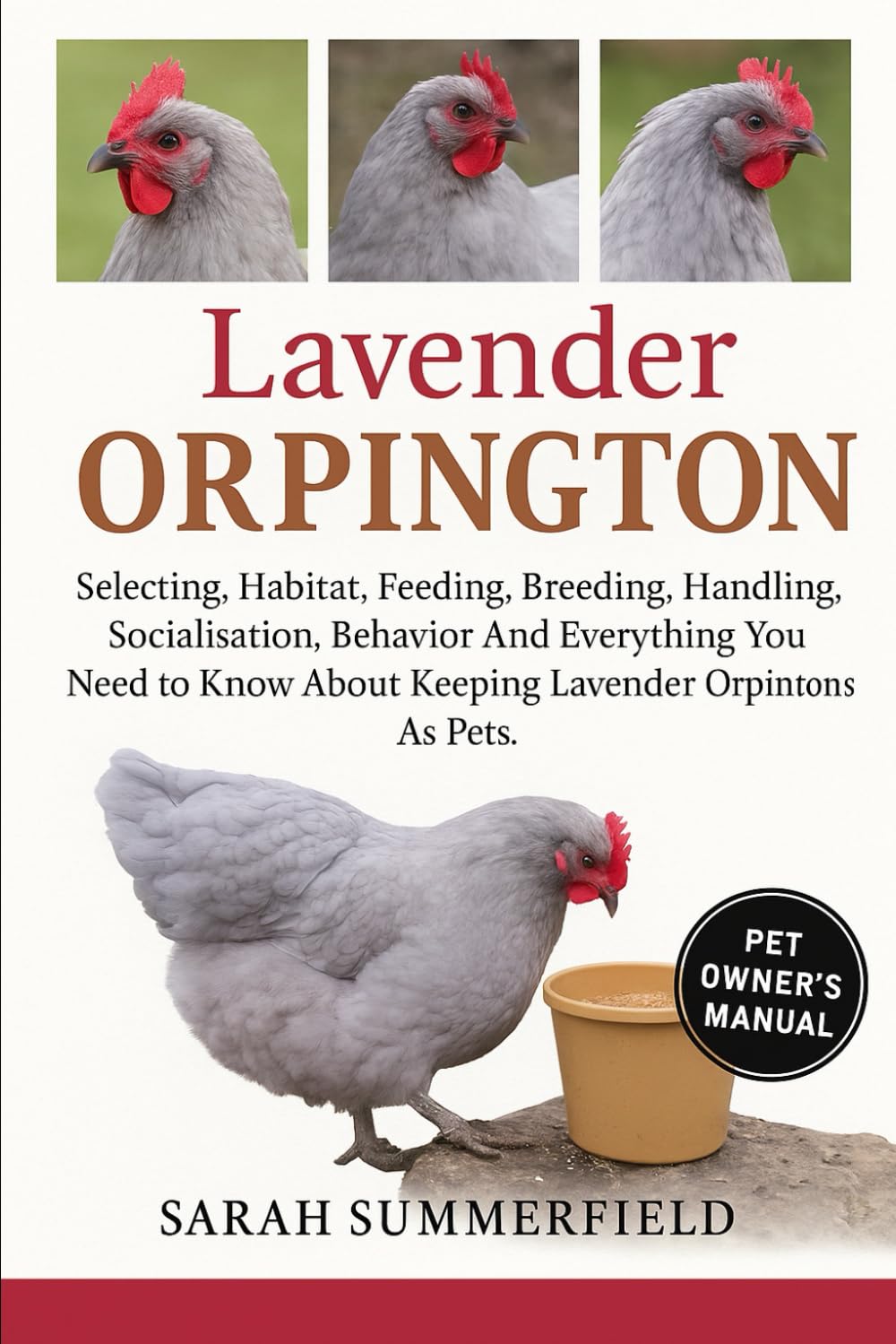 Lavender Orpington: Selecting, Habitat, Feeding, Breeding, Handling, Socialization, Behavior and Everything You Need to Know About Keeping Lavender Orpington as Pets.