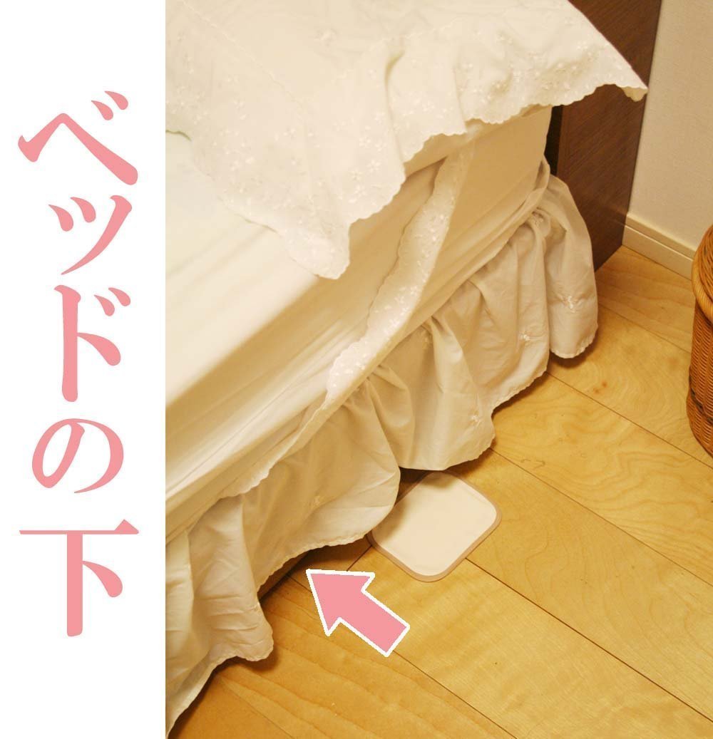 Amazon.co.jp: 日本アトピー協会推奨品 ダニホテル ふとん用 2P×5個 ダニホテル ふとん用 2P AK102