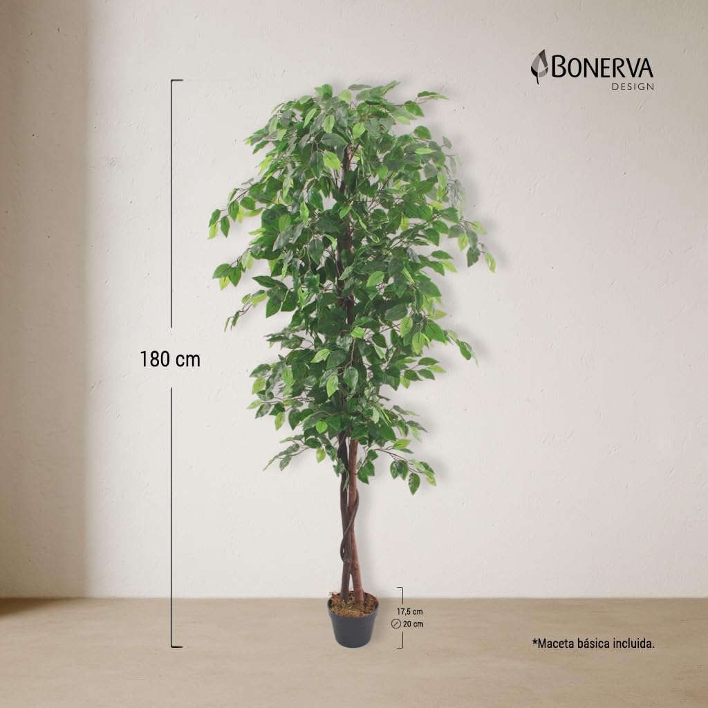 Bonerva | Ficus Nature 180 cm Altura | Planta Artificial con Tronco Natural | Ideal para Decorar Interiores: hogares, Negocios y hoteles