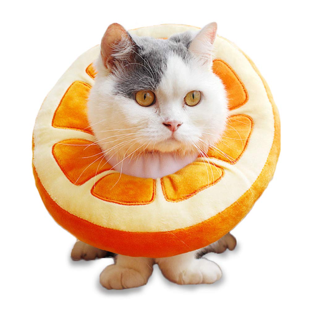 Amazon | Pi&C 猫 犬 エリザベスカラー 柔らか フルーツ 傷舐め防止 術