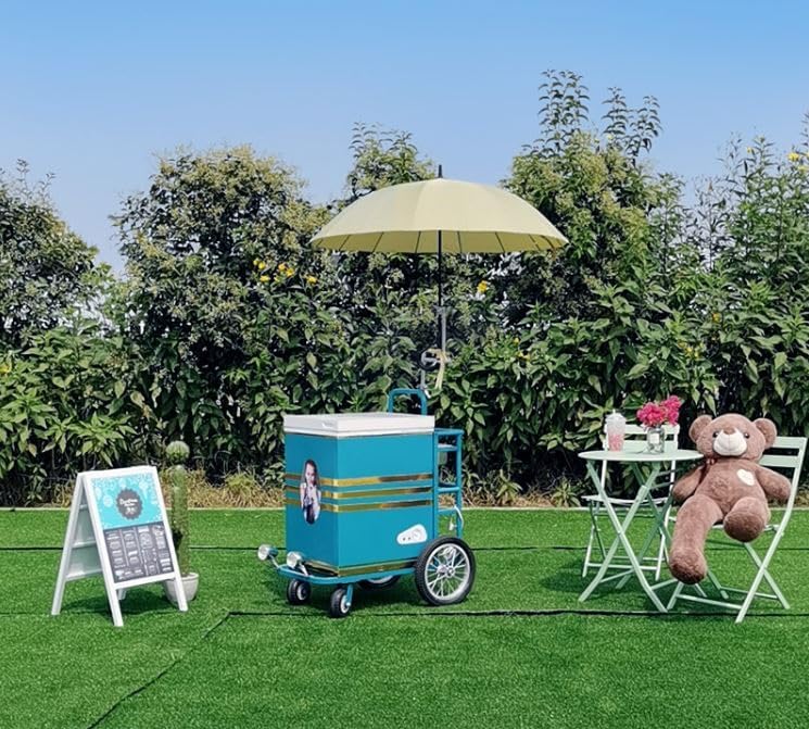 Ice Cream Gelato Frozen Food Freezer Push Cart With Umbrella