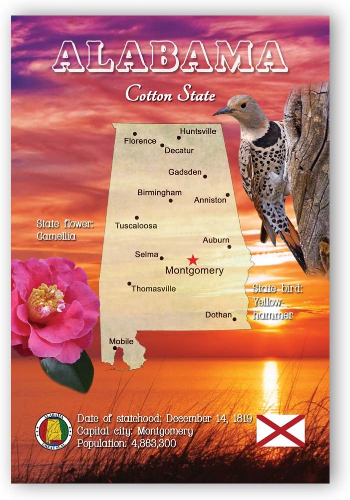 Set Of 20 Alabama Map Postcards - Premium 4x6 Inch US-Made Postcards For Collectors & Mailing
