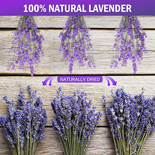 Timoo Dried Lavender Bundles 100% Natural Dried Lavender Flowers For Home Decoration, Photo Props, Home Fragrance, 2 Bundles Pack #TOP1