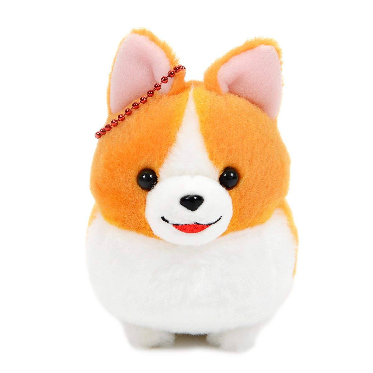 ichini corgi