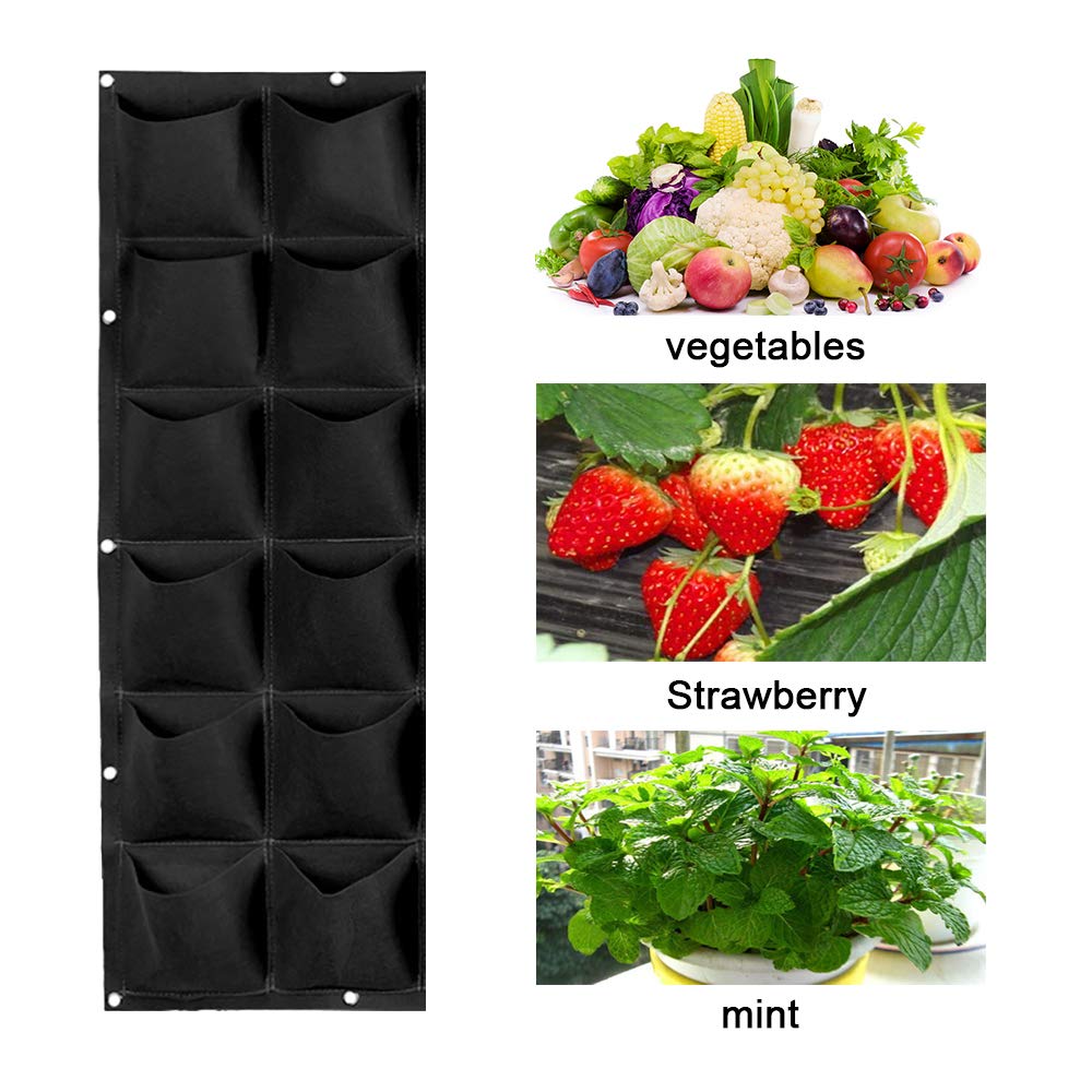 Weinig proof-proces: 36 vakken voor tuinplanten voor verticale