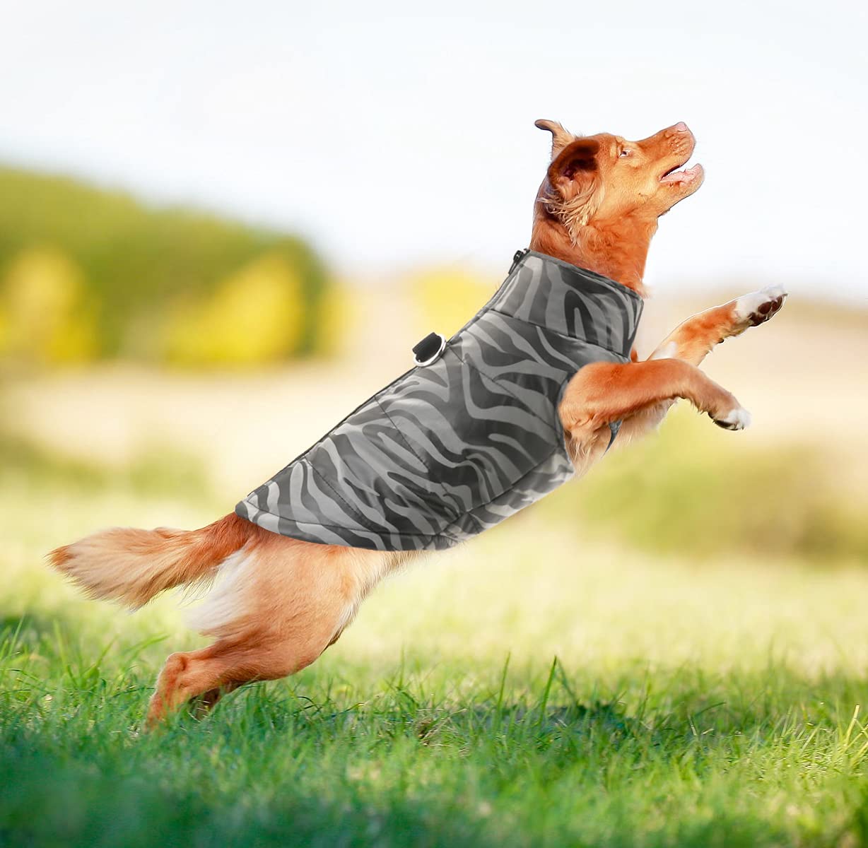 Microplastiche Negli Alimenti: A Rischio Sicurezza Animale Ed Umana - Foto 7