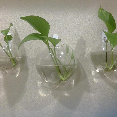 Miniatura 6 de Ecosides Juego de 3 jarrones de pared de vidrio con forma de cuenco de burbujas, terrario para colgar en la pared, macetas de pared para interiores