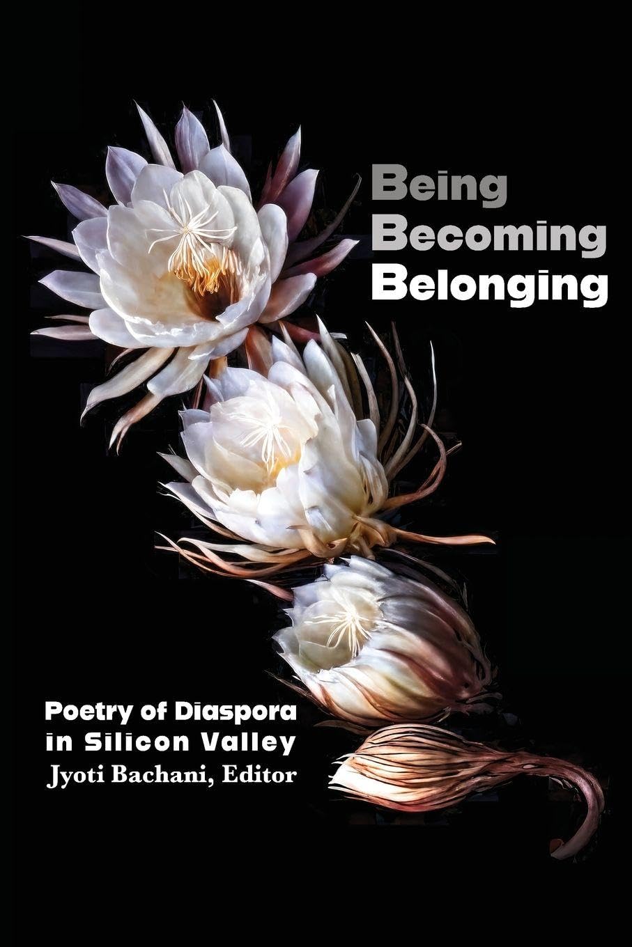 Being, Becoming, Belonging surmonter la crise d'identité et trouver sa place sociale