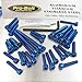 Aluminium Engine Kit RSVR Factory 04-05 (Blue)