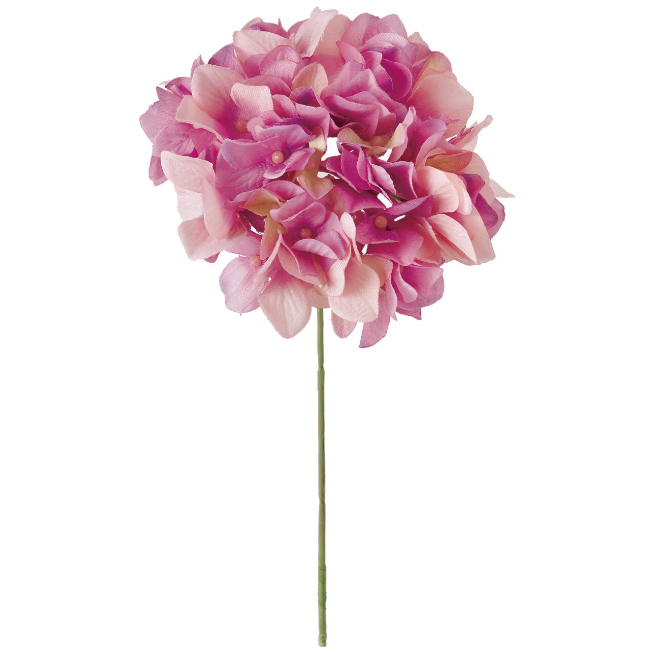 Amazon.co.jp: Tokyodo FM025048-050 Artificial Flowers MAGIQ