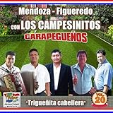  Che Amor’ipente Rohenóita