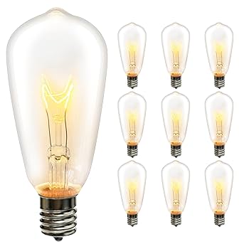 10 Pack Edison Light Bulbs, ST40 Clear Incandescent String