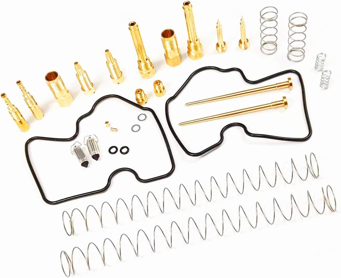 IJoy 2 Pack Carburetor Repair Carb Rebuild Kit Fits