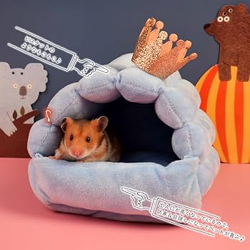 Amazon | moin moin ゴールデン ハムスター キンクマ 鳥 インコ