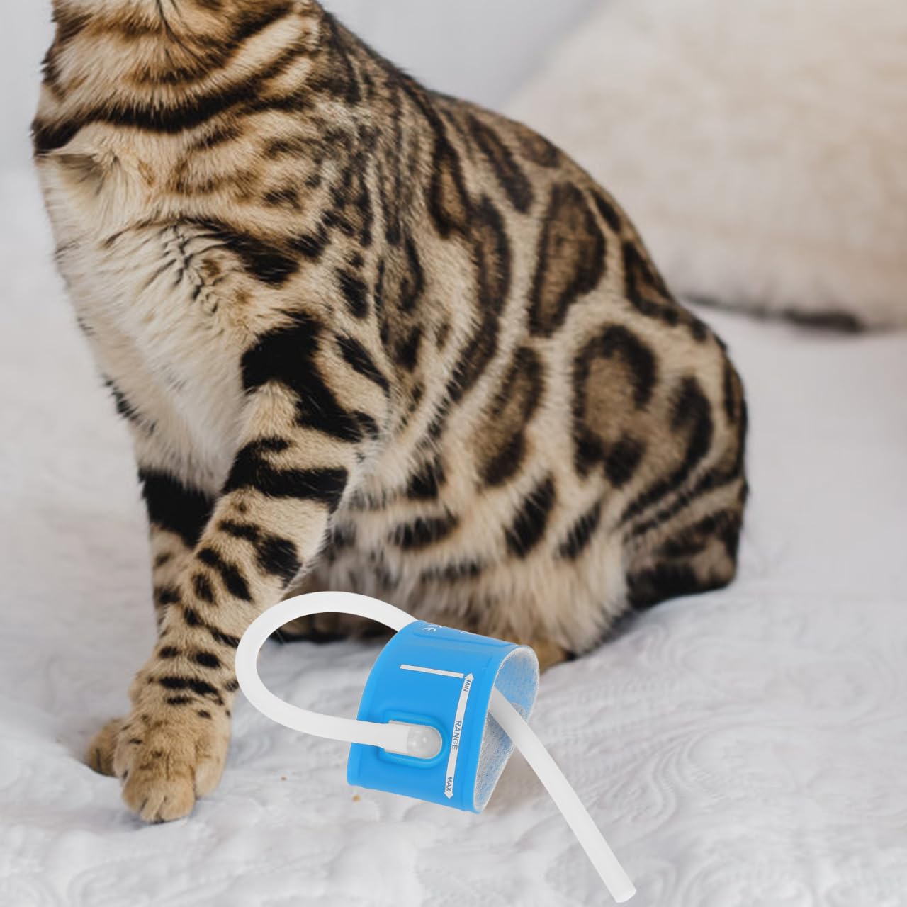 POPETPOP Tensiómetro veterinario para gatos y perros con manguito de presión arterial reutilizable Medición precisa de la presión arterial para mascotas para controlar la salud