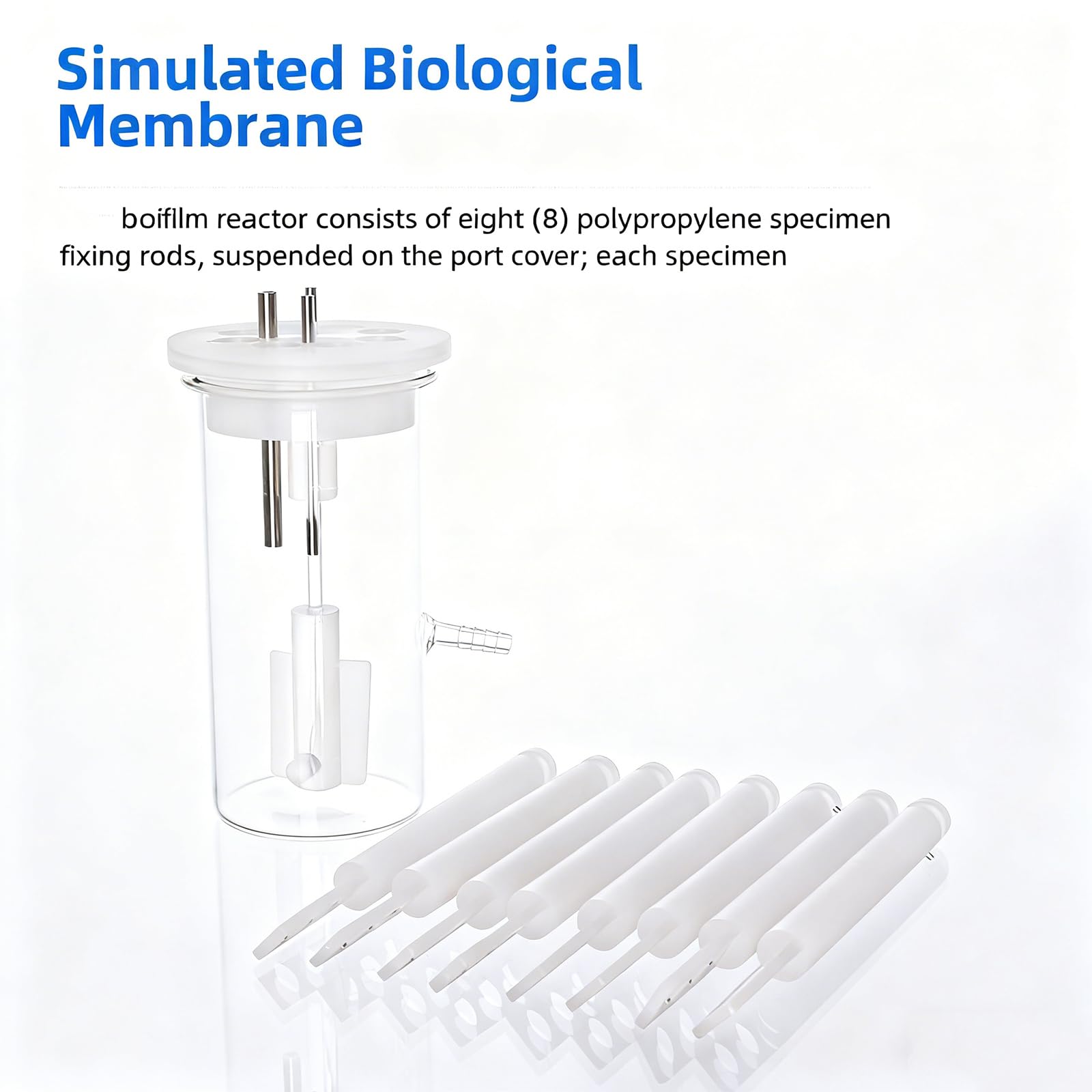Reactor De Biopelícula De Vidrio De Alto Borosilicato De 1000 ML – Recipiente De Cultivo Anaeróbico De Grado De Laboratorio con Agitación Magnética, para Simulación Microbiana E Investigación