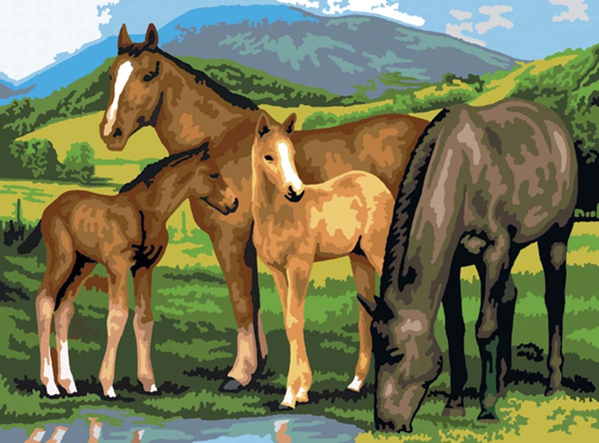 Junior Large Paint By Number Kit 15.25x11.25-Horse & Foals
