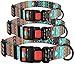 CollarDirect Dog Collar for Small Medium Large Dogs or Puppies, Cute Unique Design with a Quick Release Buckle, Tribal Ethnic Aztec Pattern, Adjustable Soft Nylon (Tribal, Neck Fit 14