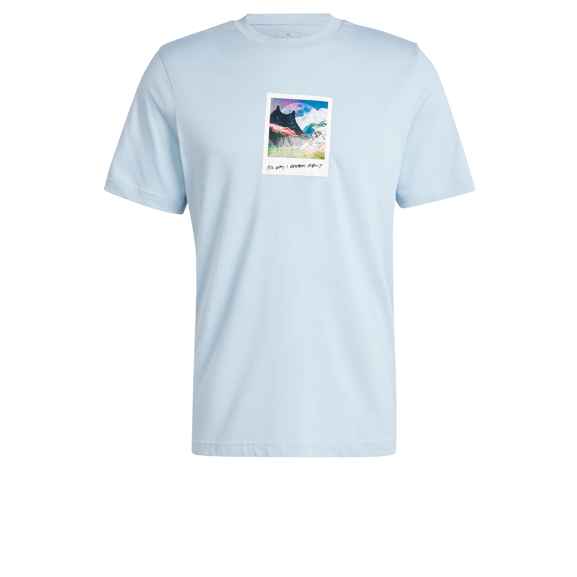 adidas Men's All Day I Dream About... Graphic Tee, Wonder Blue, M