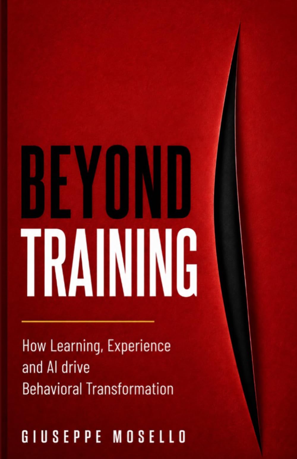 Beyond Training: Learning, Experience and Transformation in the Age of AI