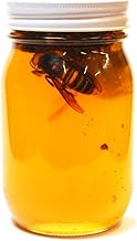 Hornet Pickled Honey, 21.2 oz (600 g), Domestic Honey