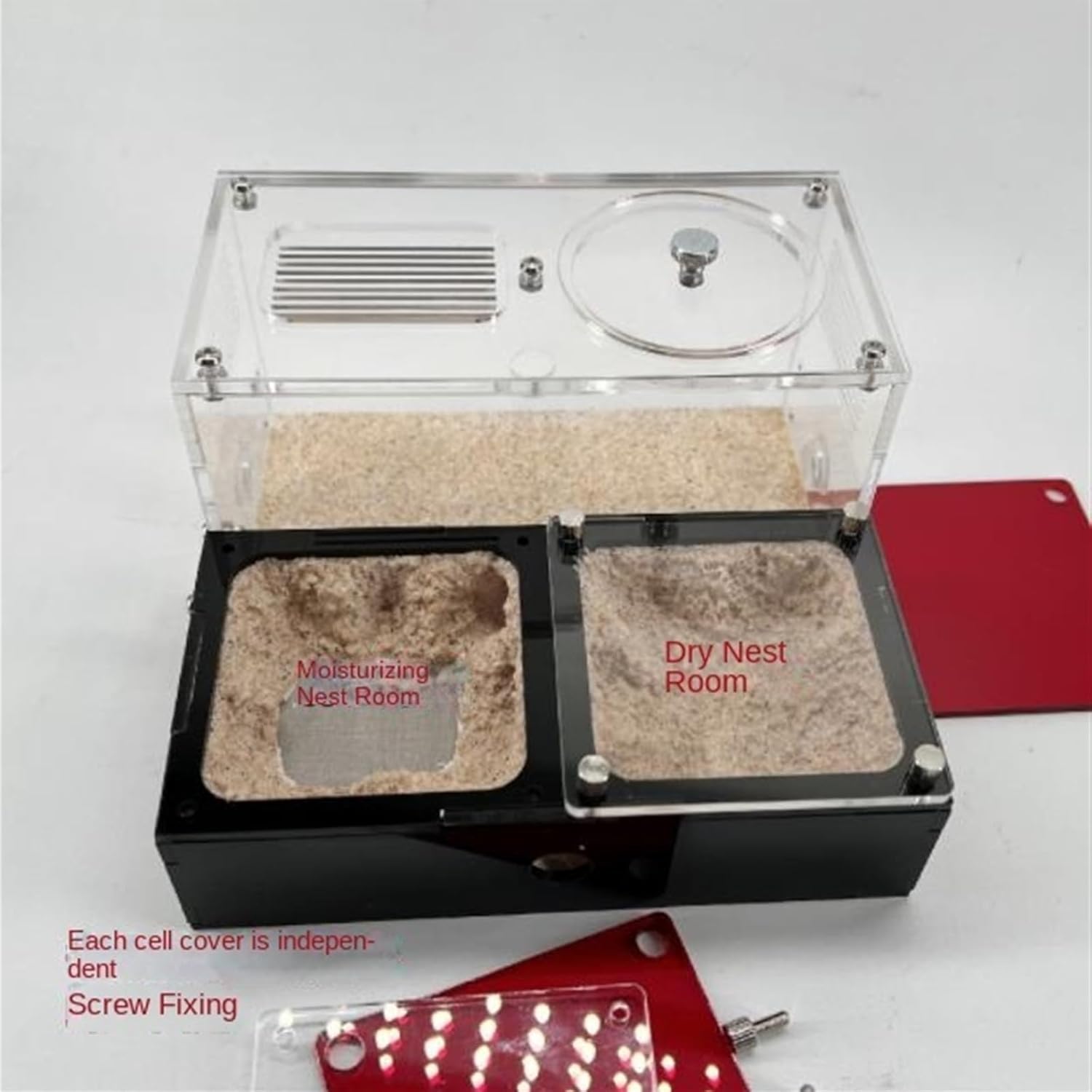 アクリル 虫かご 昆虫飼育ケース 虫かご 昆虫 飼育ケース Lサイズ カブトムシ クワガタ クリア