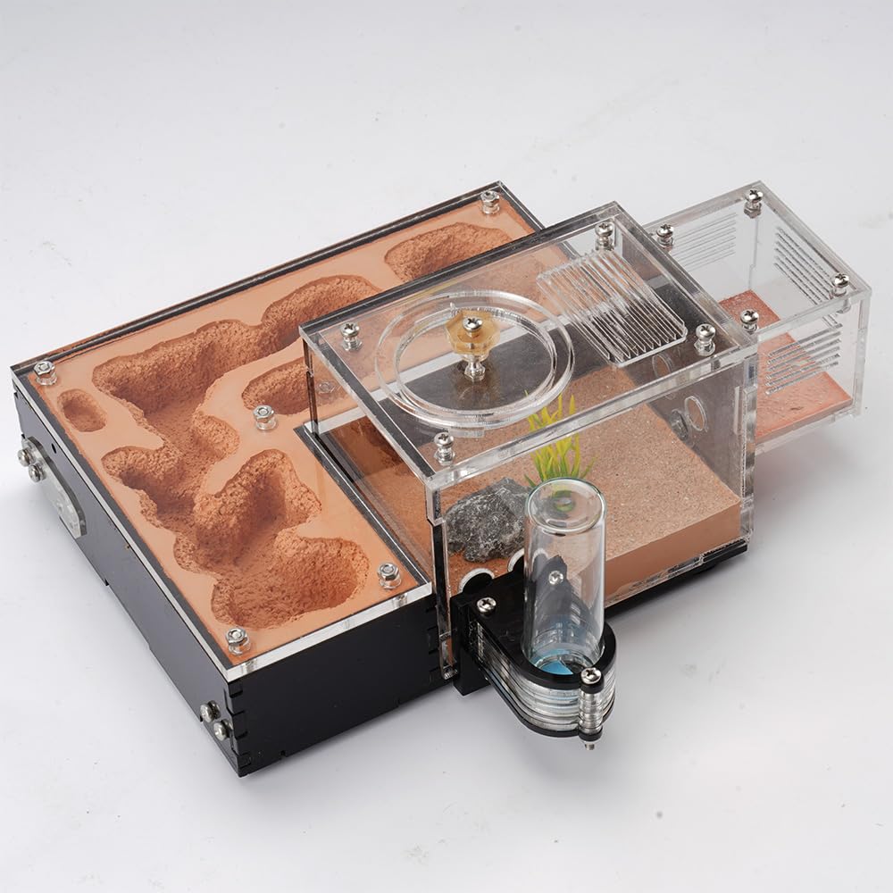 RIMSUNTA Terra Core Series, Small Progressive Ant Farm for Live Ants Formicarium with External Water Tower & Trash Area - Image 2