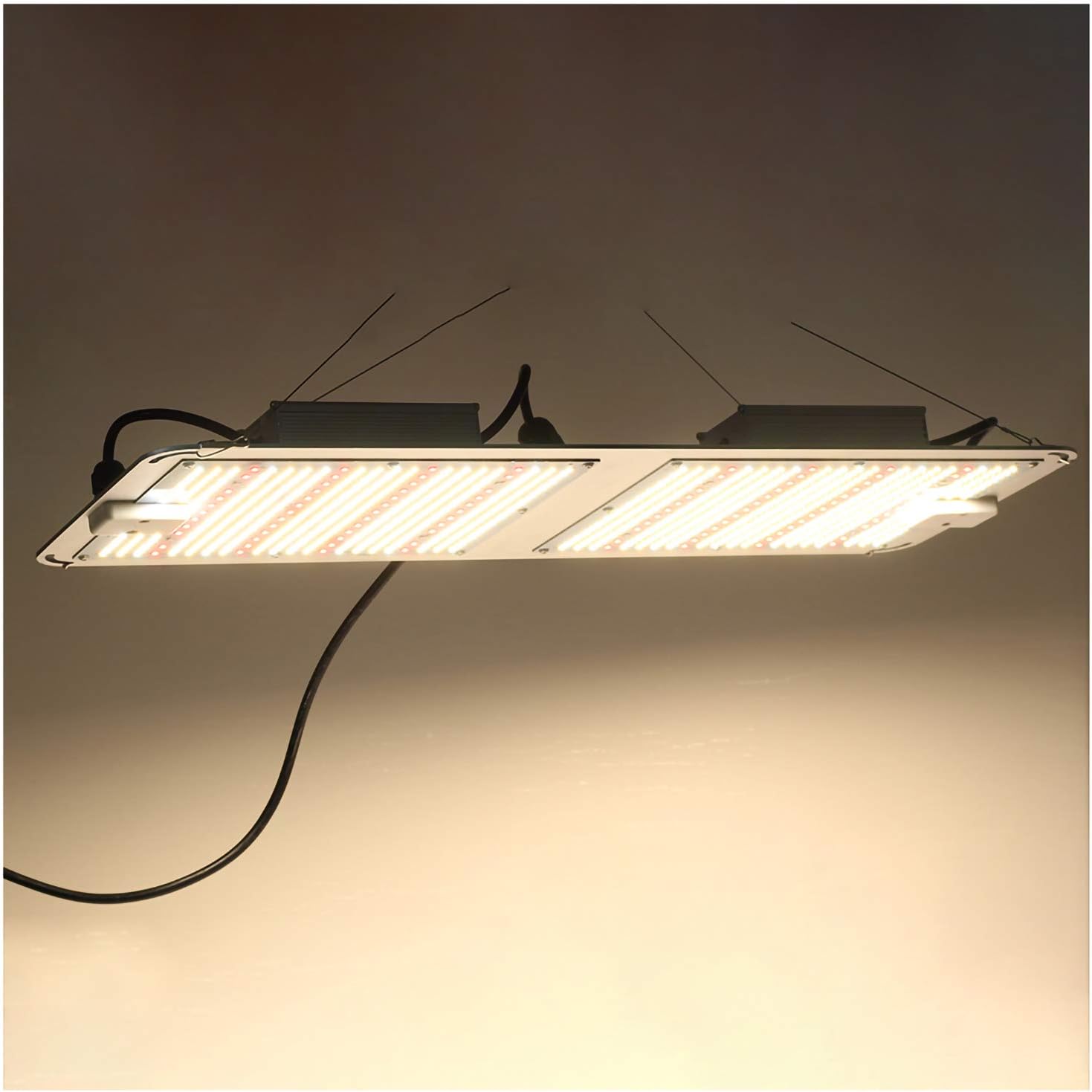 WXDL LED Lámpara de Crecimiento de Espectro Completo Similar al Sol Lámpara de Plantas Placa Cuántica Lampara de Cultivo 1000W/2000W/4000W Impermeable Grow Light,2 Head