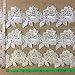 3" Corded, Beaded, and Sequined Flower Trim Lace on Organza, White and Ivory; 2 Yards