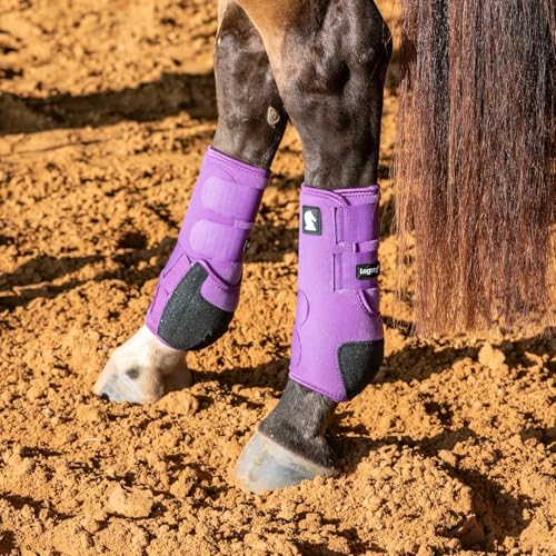 Image of Classic Equine Legacy2 Support Boots, Hind