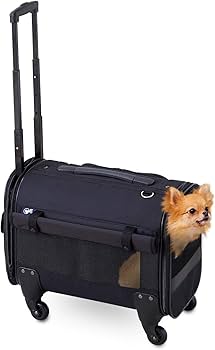 OFT キャリーバッグNEW Lサイズ キャリーバッグNEW（L） | 株式会社オーエフティー