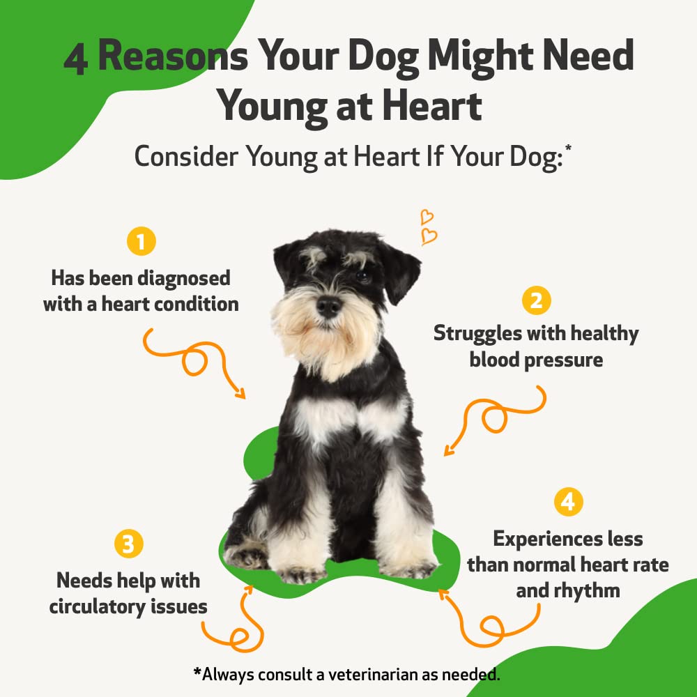 What Is A Dogs Normal Heart Rate