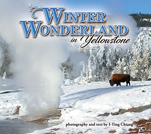 Winter Wonderland in Yellowstone