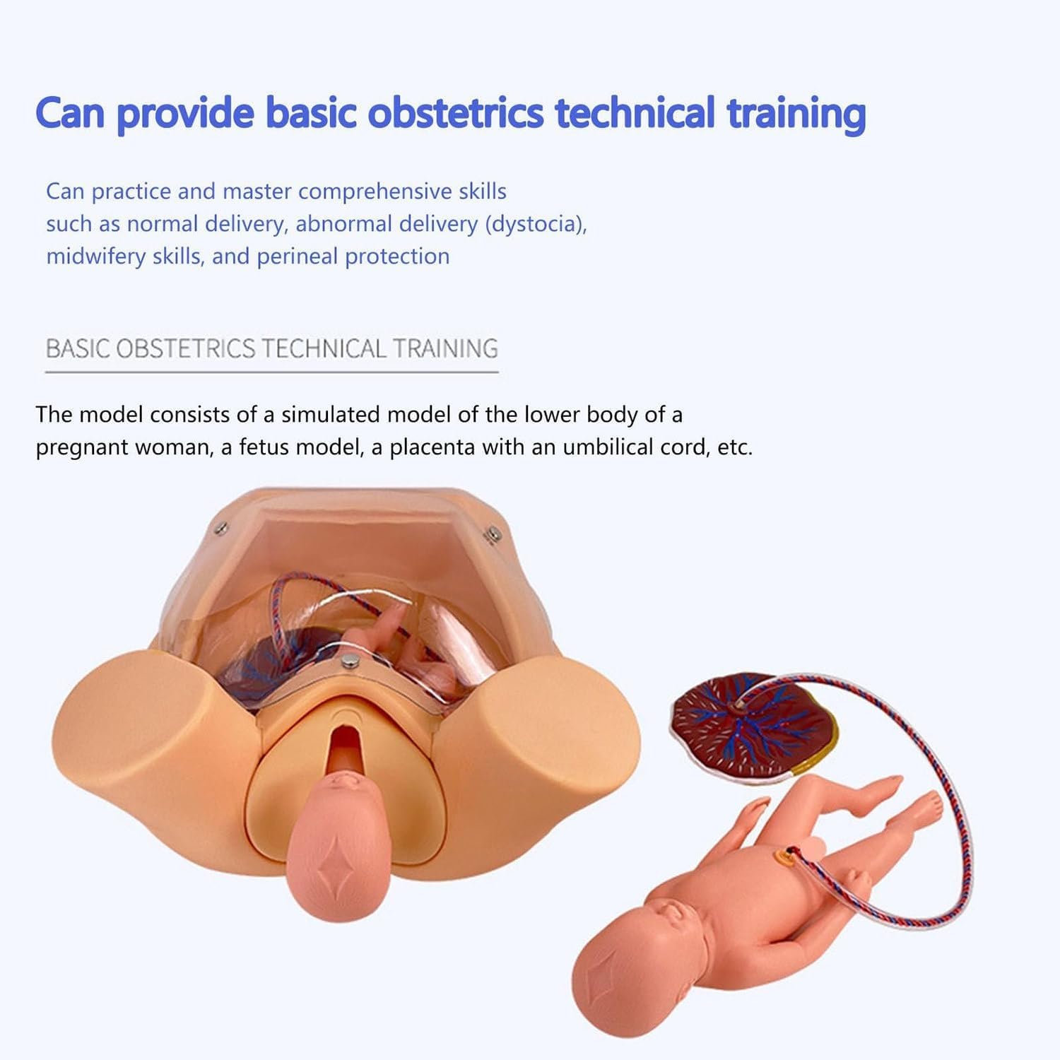 Simulador de parto - Modelo avanzado de entrenamiento de partería para educación médica, herramienta de práctica de parto gemelos de tamaño real para ginecología y enseñanza de maternidad